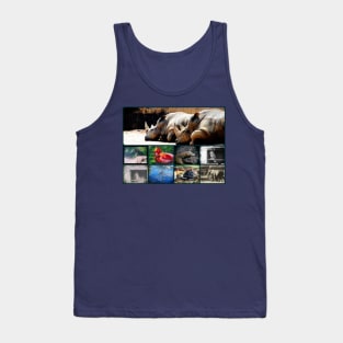 Photo Animal Collage Tank Top